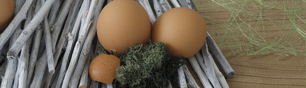 Eierschalen auf weiss gefärbten Holzästen